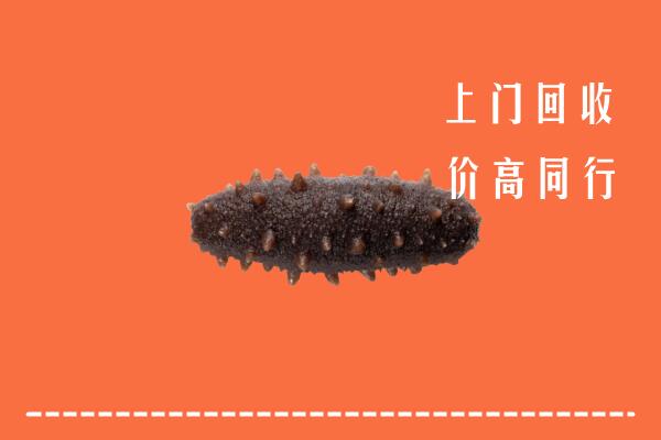 珠海市回收海参